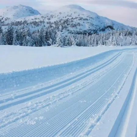 Eventyrlig Tommerhytte Pa Gardstun Vinstra Exterior photo