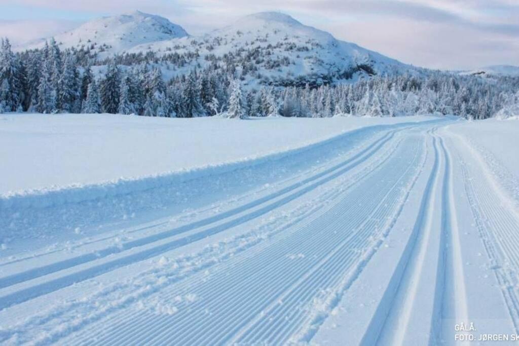 Eventyrlig Tommerhytte Pa Gardstun